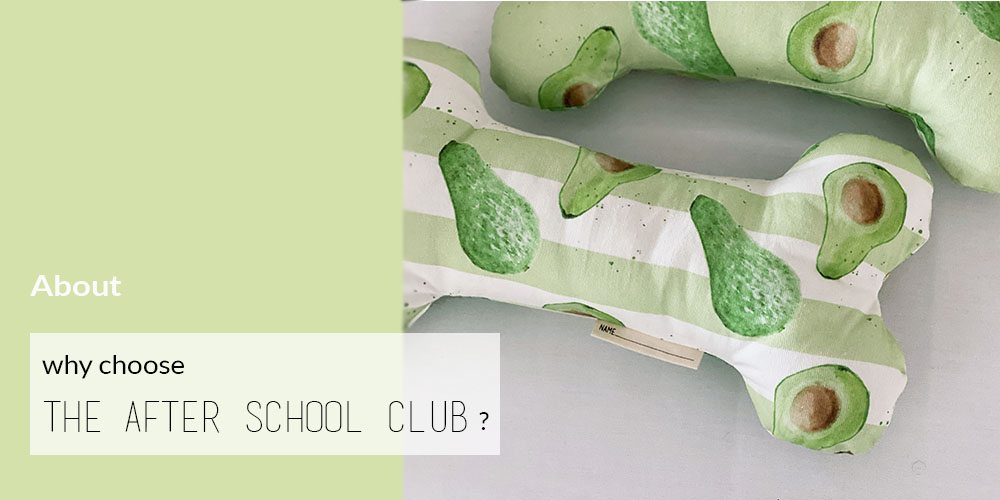 The After School Club About Us and our Pet Toys
